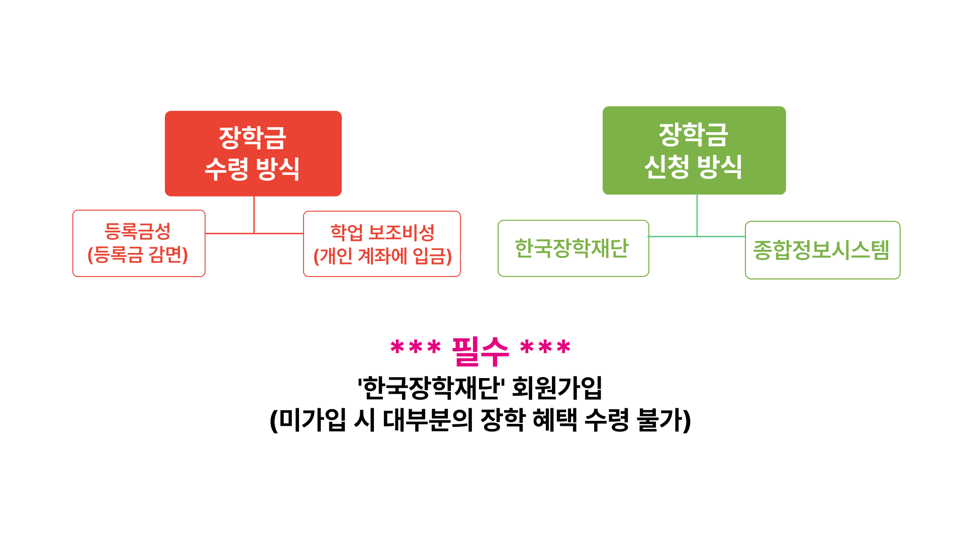 장학정보 1